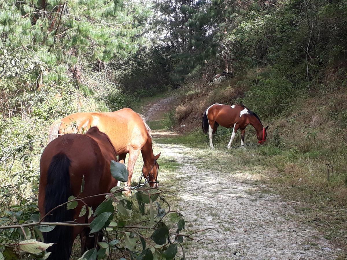 El Cardenal Hotel Loja Εξωτερικό φωτογραφία